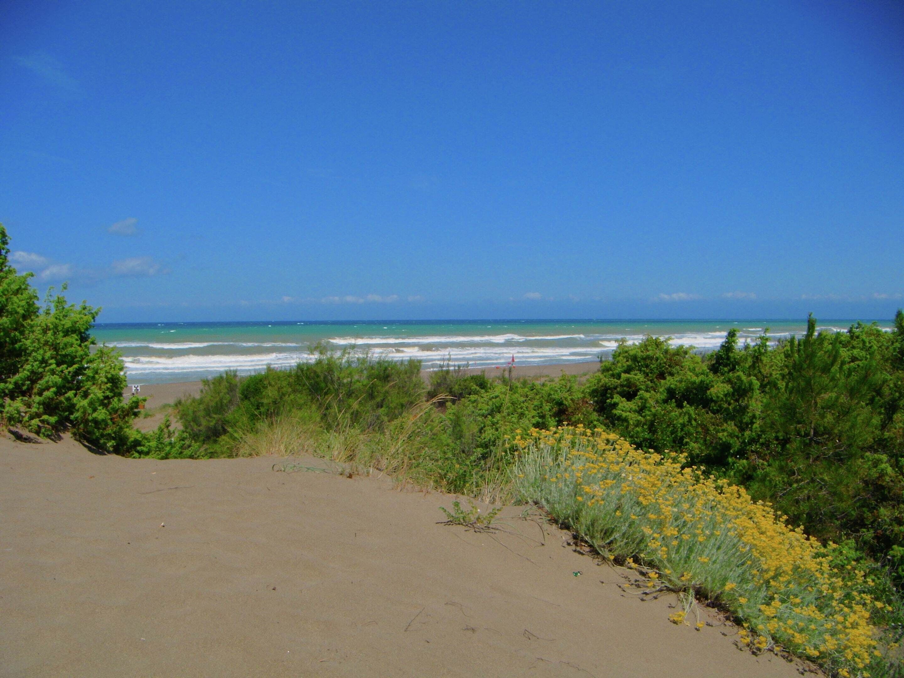 Utsikt fra overnattingsstedet