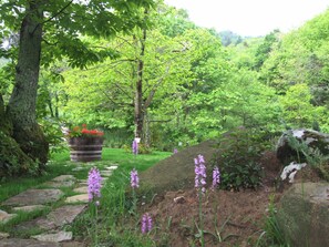 Romantisk hus, 2 soverom | Overnattingsstedets uteområder