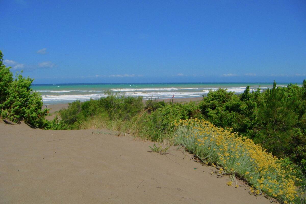 Deluxe House, 4 Bedrooms | Exterior