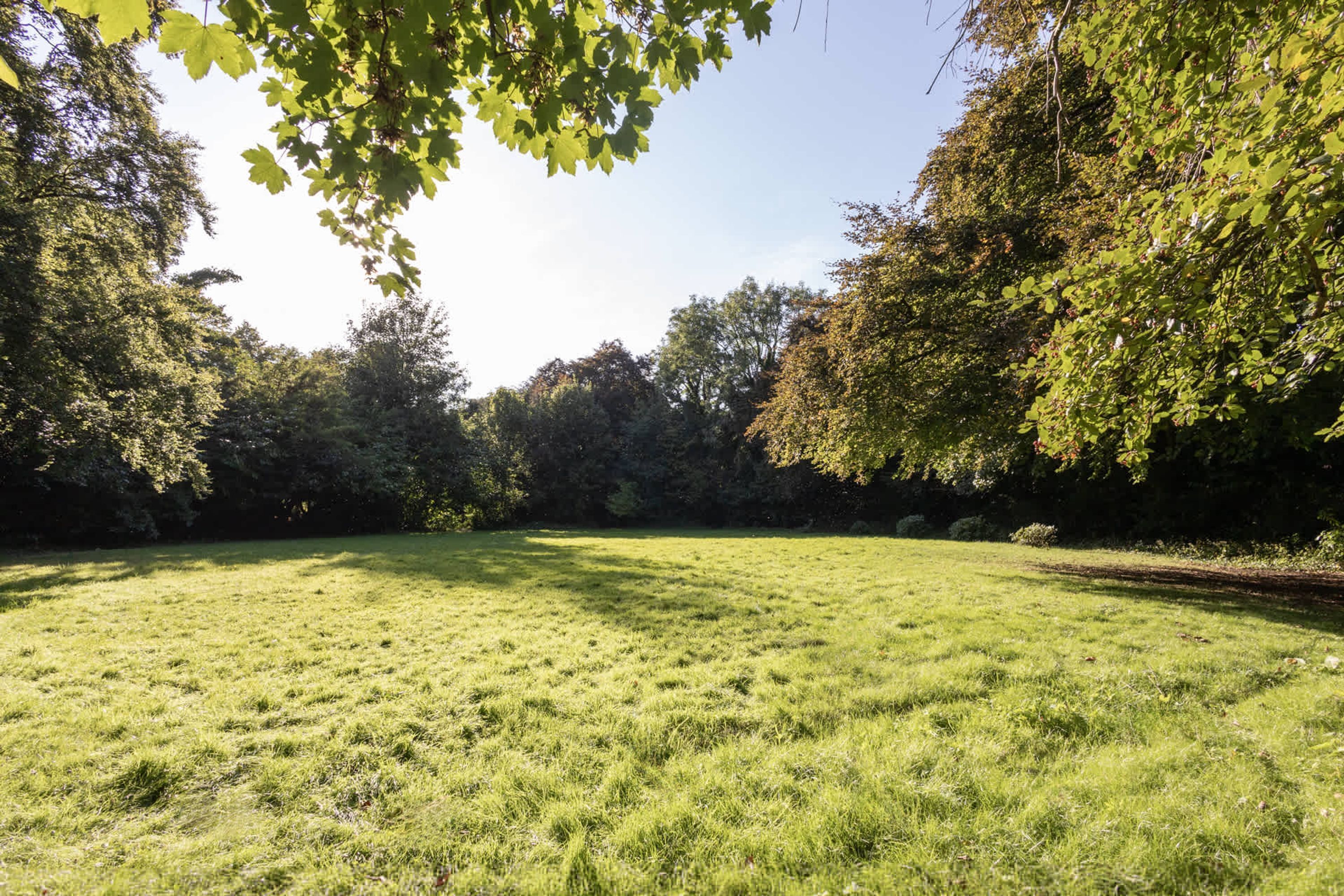 Ein grünes Feld mit Bäumen an beiden Seiten.