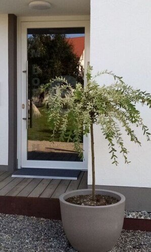 Weide Comfortable Holiday Residence