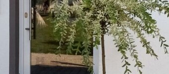 Weide Comfortable Holiday Residence