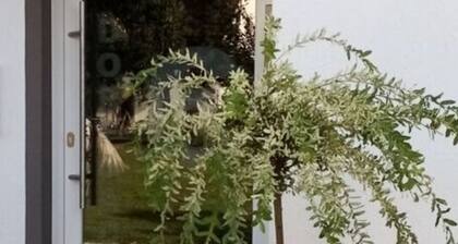 Weide Comfortable Holiday Residence