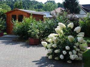 Exterior - Herring Gull in Haus Gluckauf (Loddin)