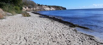 Froschkonig Comfortable Holiday Residence