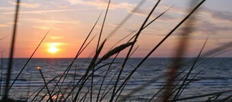 Haus Trube Comfortable Holiday Residence