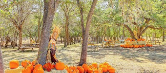 Rescue Ranch Retreat w/ Goats, Horses & Chickens!