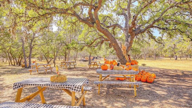 Unclassified image, 1 of 25, button - Rescue Ranch Retreat w/ Goats, Horses & Chickens! (Bulverde)