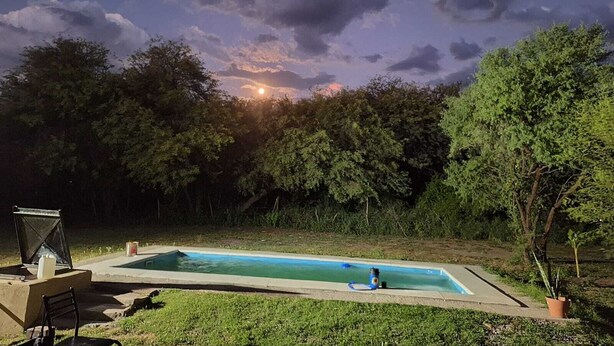 A rectangular outdoor swimming pool with a concrete edge, surrounded by grass and trees.