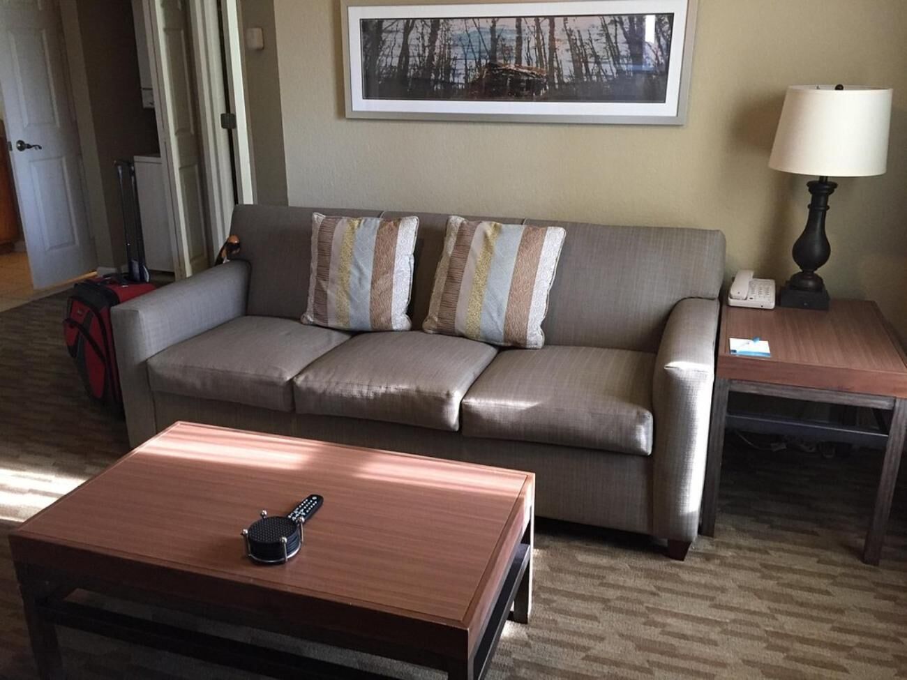 A living room with a grey sofa, striped pillows, a wooden coffee table, a lamp, and a framed picture on the wall.