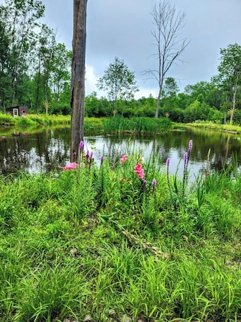 Property grounds. Jake's Place - A Peaceful and Private Wildlife Retreat. (hunt, fish and more!)