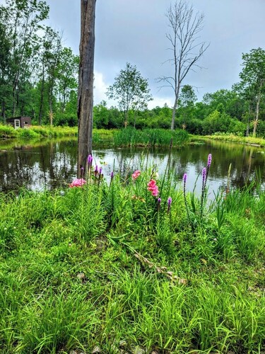 Jake's Place - A Peaceful and Private Wildlife Retreat. (hunt, fish and more!)