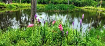 Jake's Place - A Peaceful and Private Wildlife Retreat. (hunt, fish and more!)