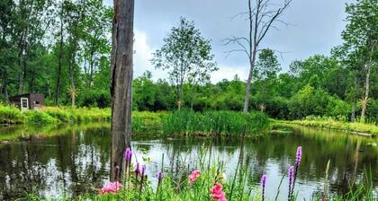 Jake's Place - A Peaceful and Private Wildlife Retreat. (hunt, fish and more!)