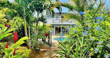 Aloha Hale - Gorgeous home with pool, hot tub, AC