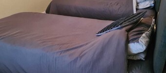 더 이글 앤 차일드