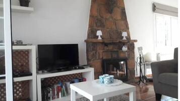 Een televisie, een open haard en een dvd-speler