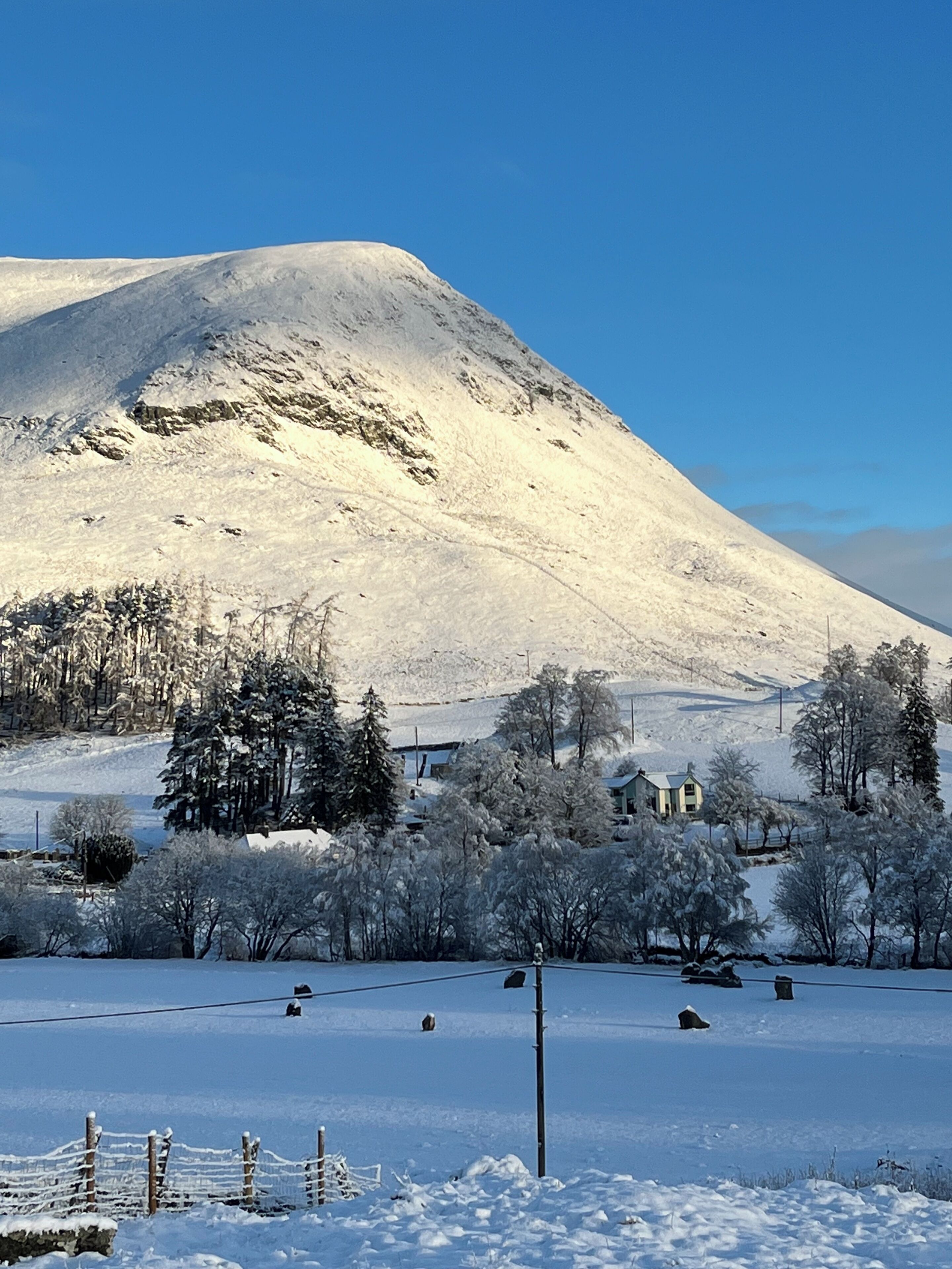 Een besneeuwd landschap met een berg, bomen en een huis op de achtergrond.