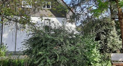 Oak Comfortable Holiday Residence