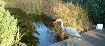 "tina" Comfortable Holiday Residence