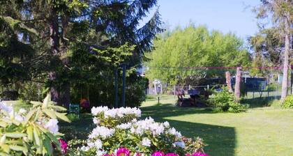 Castle View at Weisdin Castle