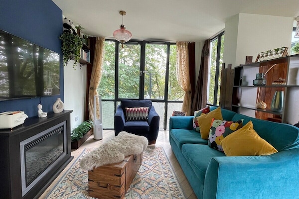 TV, fireplace
