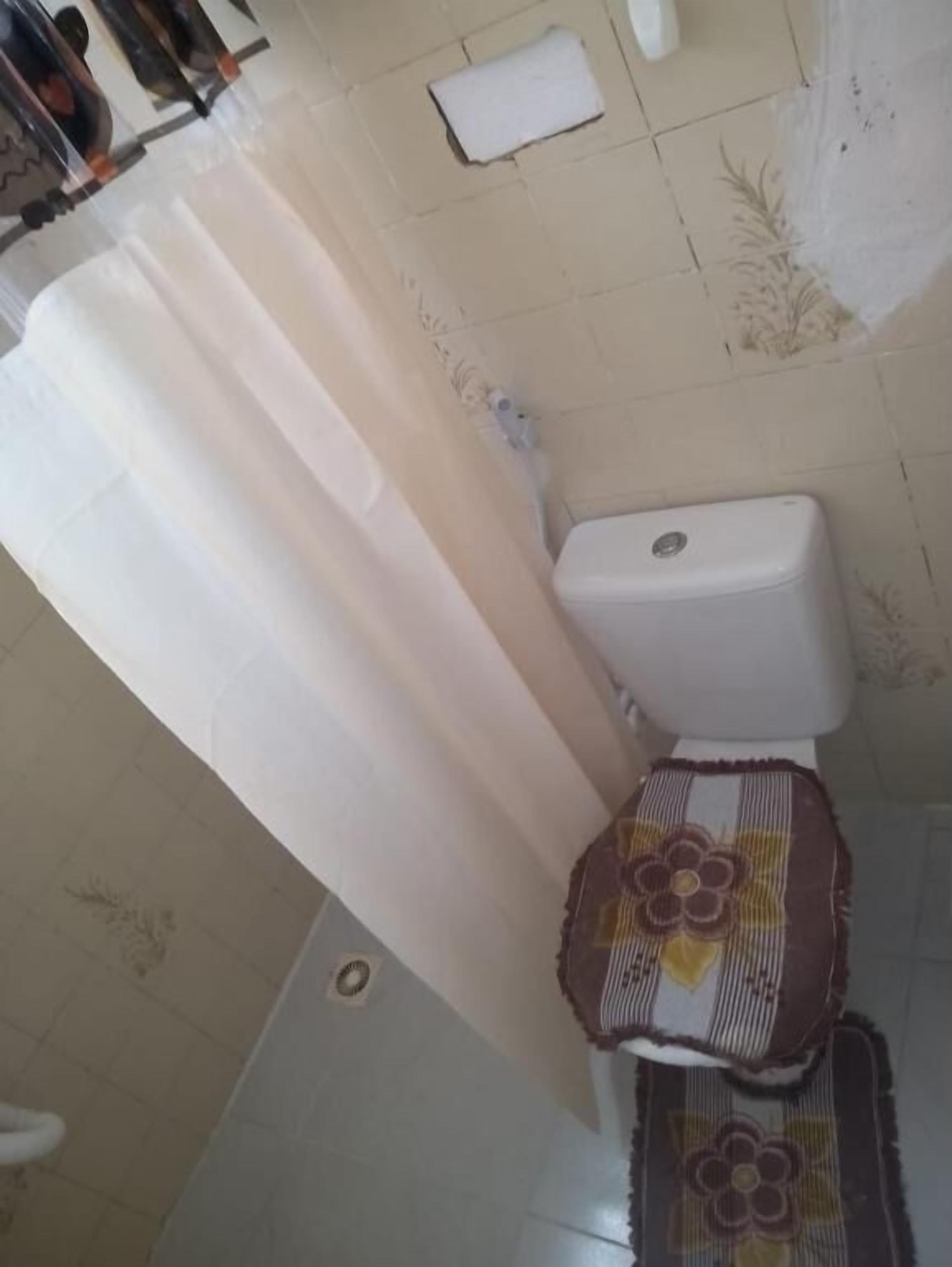 A bathroom with a toilet, a shower curtain, and a patterned rug.