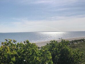 Beach - Seepferdchen Comfortable Holiday Residence (Wyk auf Foehr)