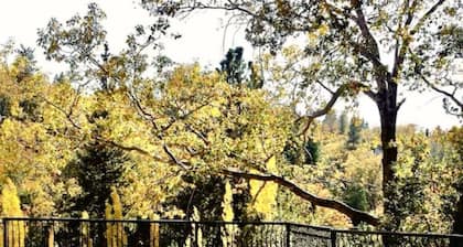 Lake Arrowhead Private Estate