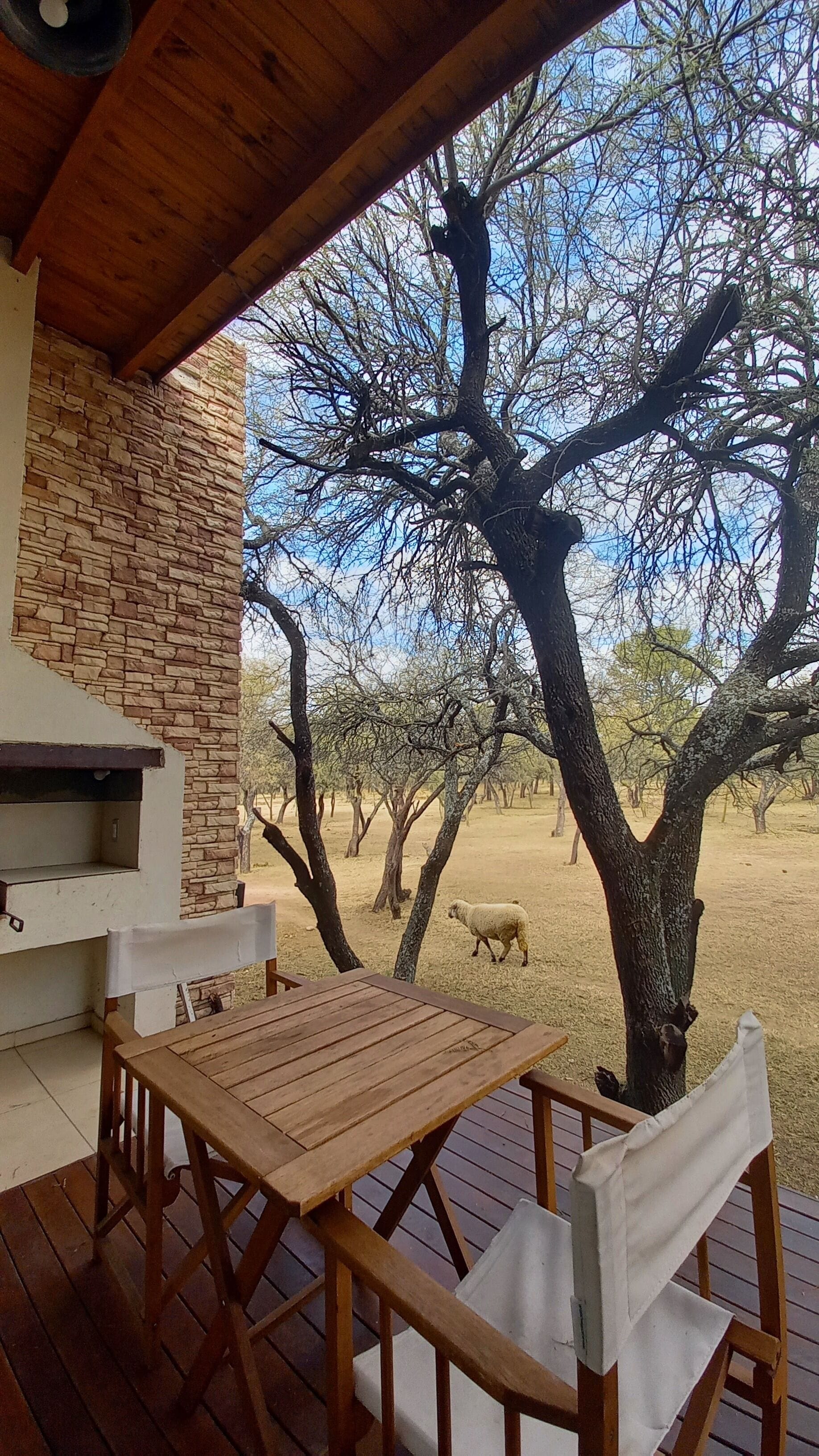 Cabana Comfort, vistes al parc | Terrassa o pati