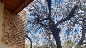 Un espace extérieur aménagé avec une table et des chaises en bois, un mur en pierre et une vue sur un paysage bordé d’arbres.