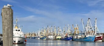 Enjoy Comfortable Holiday Residence