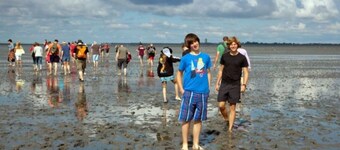 Schwemm Comfortable Holiday Residence