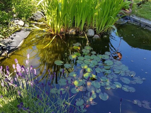 Holiday Apartment in Waren