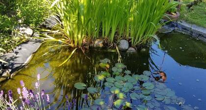 Holiday Apartment in Waren