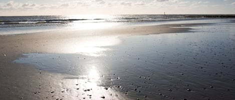 House | Beach