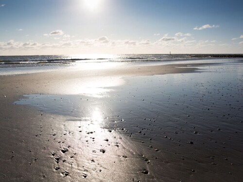 Hausmann's Apartment