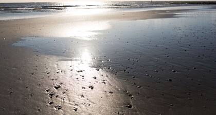 Hausmann's Apartment