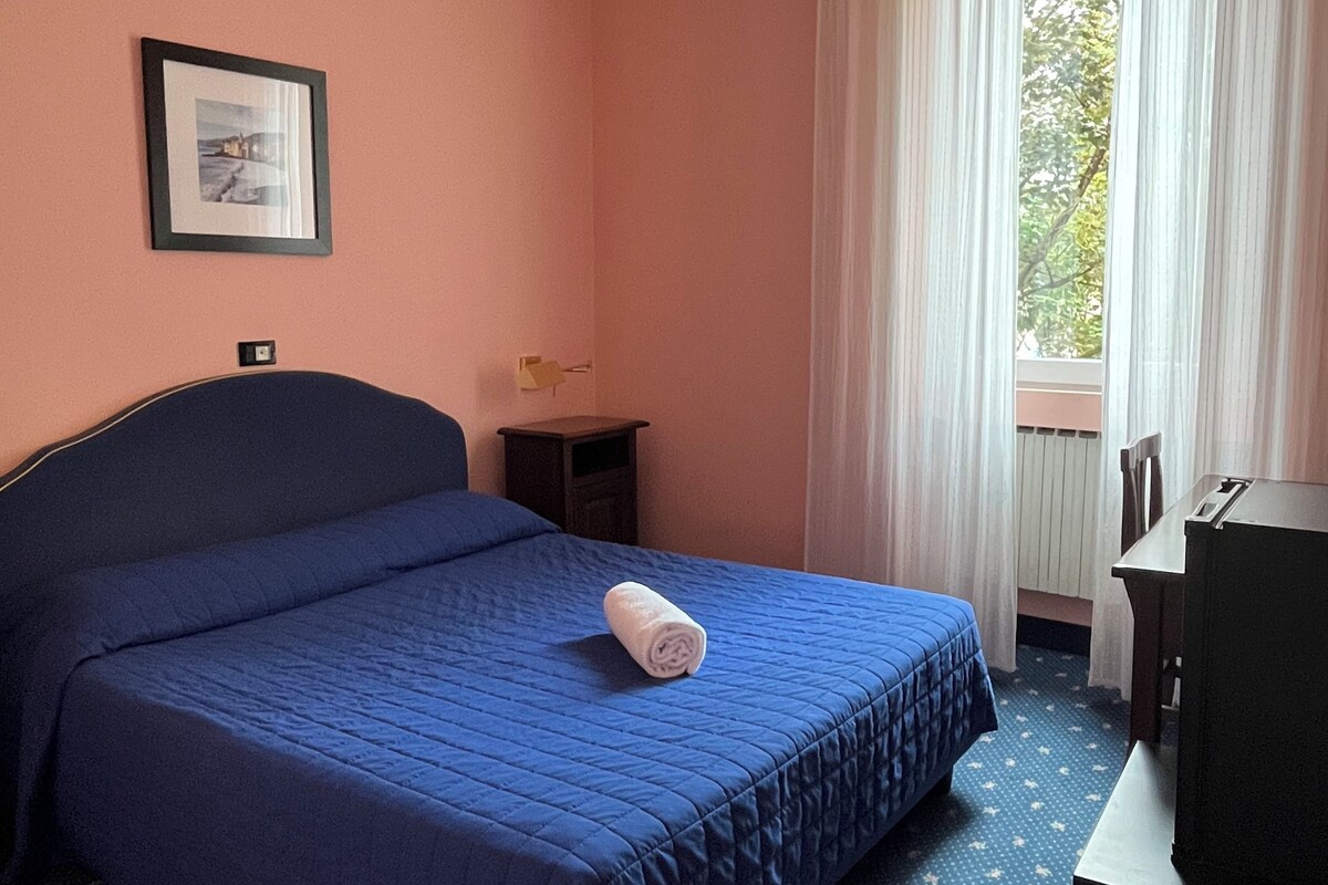 A hotel room with a single bed, a small bedside table, a chair, a desk, a window with curtains, and a framed picture on the wall.