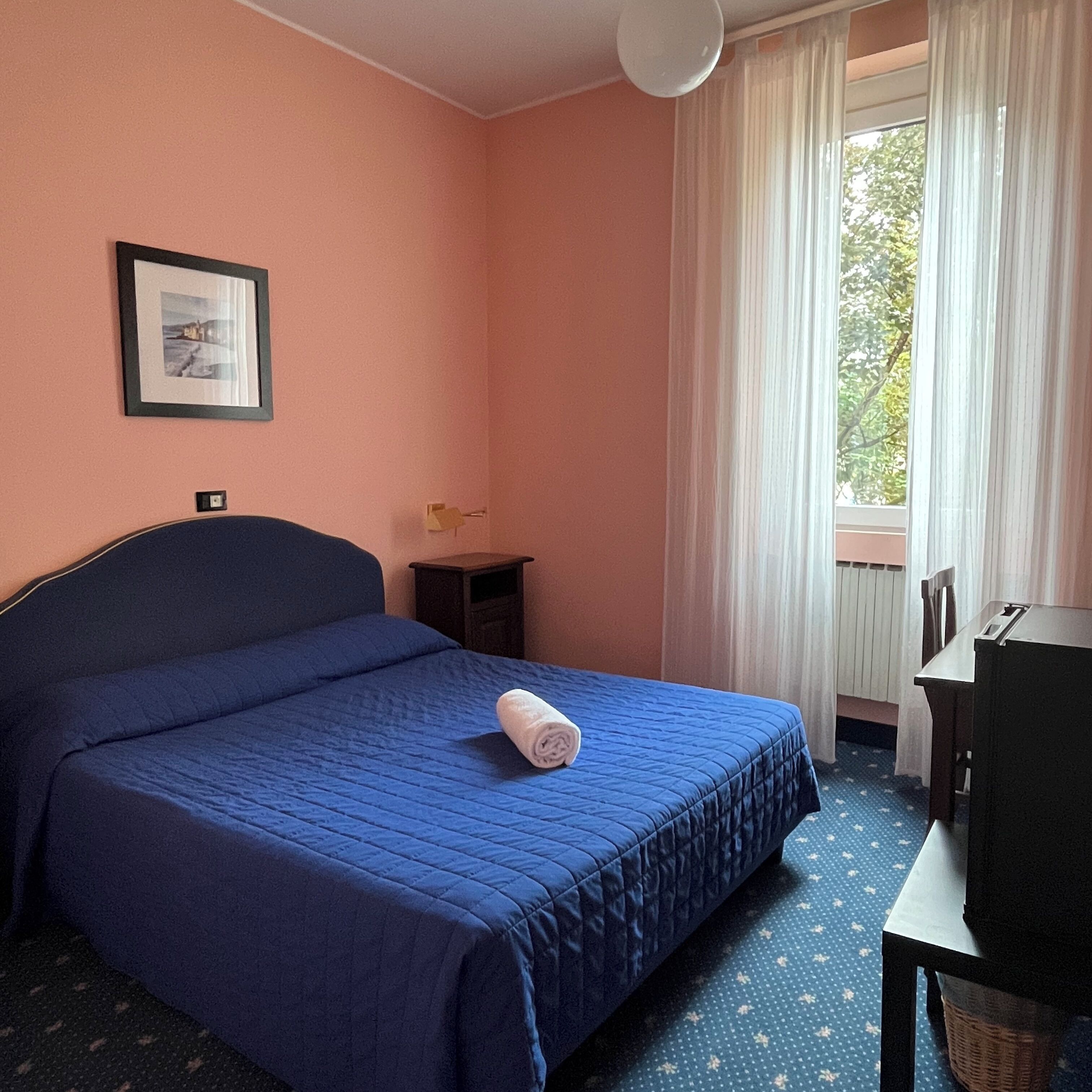 Habitación de hotel con una cama individual, una mesita de noche pequeña, una silla, un escritorio, una ventana con cortinas y un cuadro en la pared.