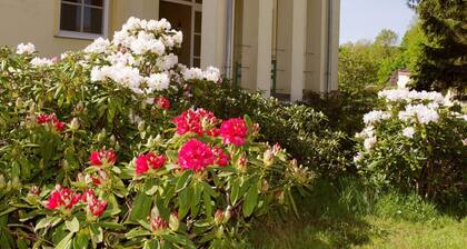 Garden View of Weisdin Castle