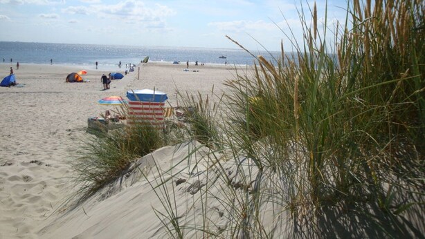 Playa
