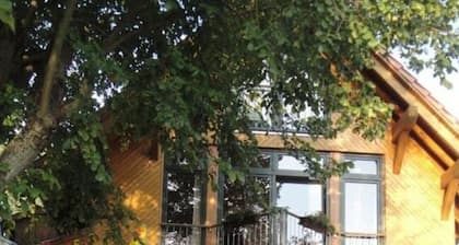 Andrea Nemecz/duckburg