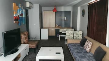 Luxury House | Living area | 43-inch LED TV with cable channels