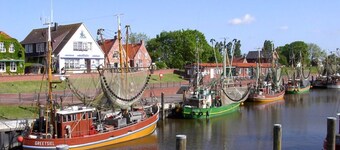 Dat Diekhus Comfortable Holiday Residence