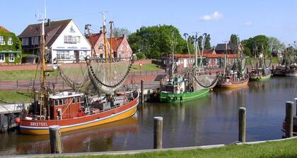 Dat Diekhus Comfortable Holiday Residence