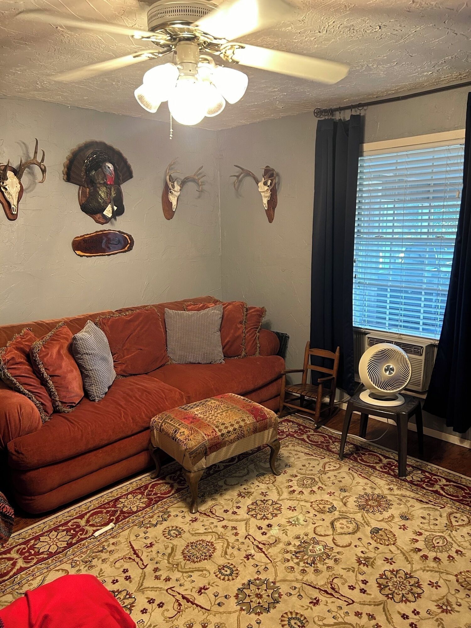 Smart TV, DVD player, printers