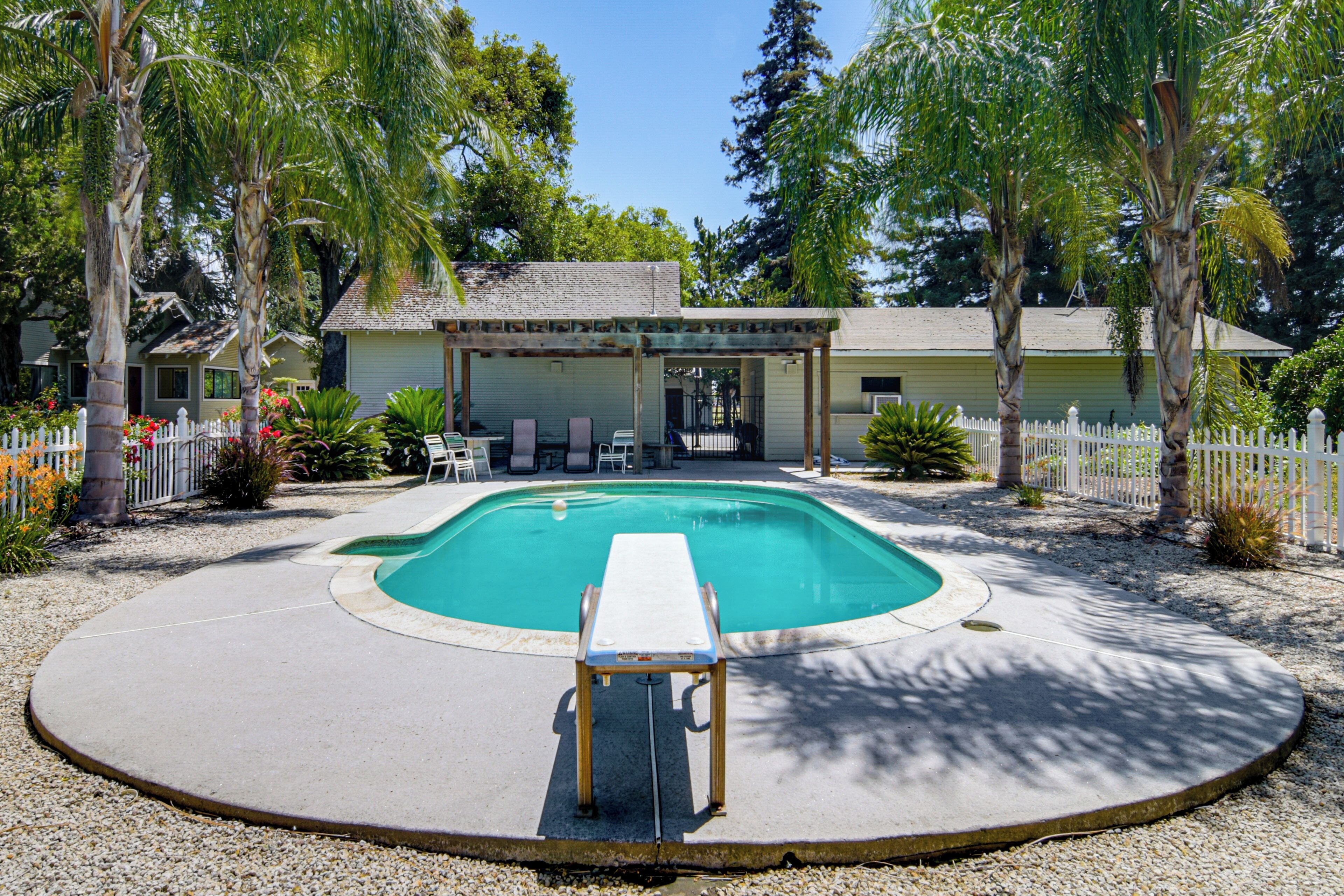 Una piscina con zona de descanso, rodeada de palmeras y una casa.