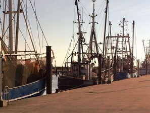 Maison | Port de plaisance
