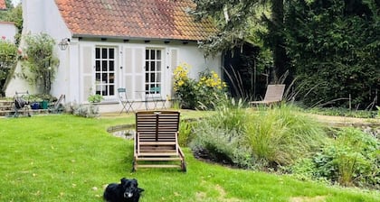 on the Ilmenau With Therapy Options